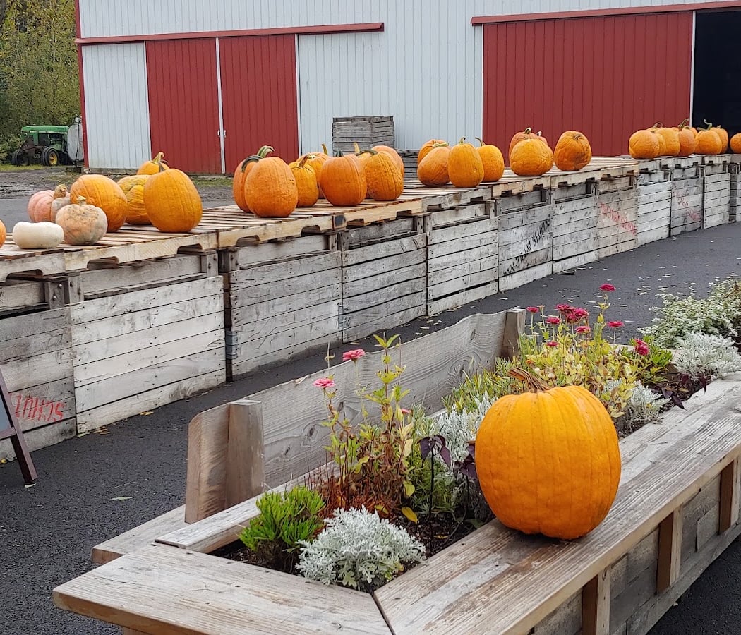 Schutt's Apple Mill 5